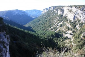 Combe du Tiourre