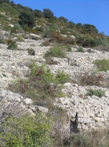 Un bel exemple de terrasses aux Costes.