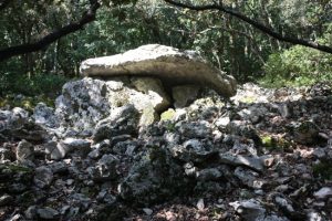 Dolmen de la Maison Forestière.